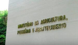 Mapa anuncia concurso público para farmacêuticos