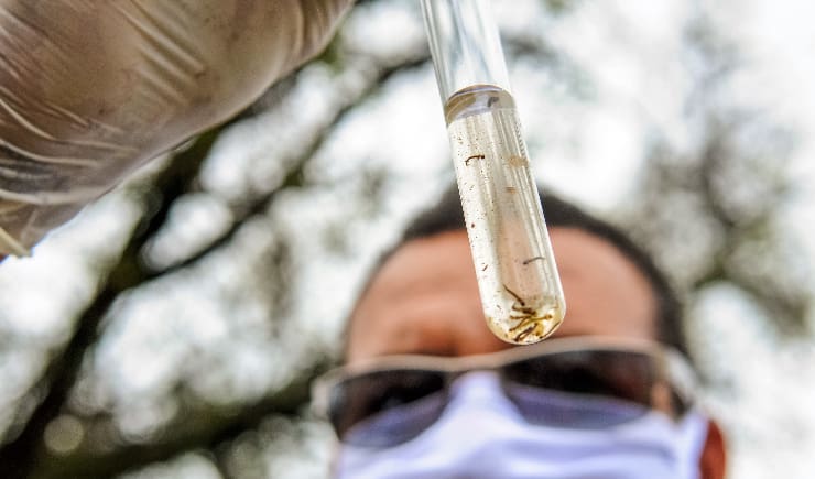 farmaceuticos-tem-papel-fundamental-no-combate-as-doencas-tropicais-e-negligenciadas